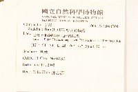 雙花蟛蜞菊藏品圖，第2張