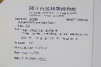 番杏藏品圖，第2張