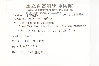 獨行菜藏品圖，第2張
