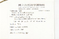 天蓬草舅藏品圖，第2張