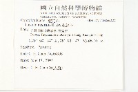 菟絲子藏品圖，第2張