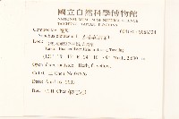 苦滇菜、苦菜藏品圖，第2張