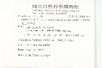 玉山筷子芥藏品圖，第2張