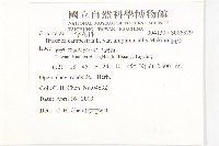 油菜藏品圖，第2張