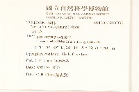 兔仔菜藏品圖，第2張