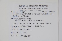 臺灣赤楊、臺灣榿木藏品圖，第2張