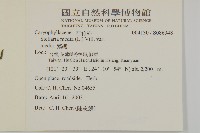 繁縷藏品圖，第2張