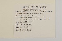 無心菜、鵝不食草藏品圖，第2張