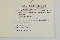 卷耳藏品圖，第2張