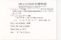 玉山筷子芥藏品圖，第2張