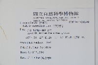 普刺特草藏品圖，第2張