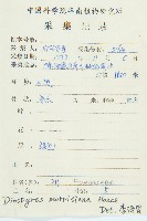 山紅柿藏品圖，第4張
