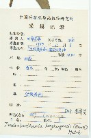 香港四照花藏品圖，第2張