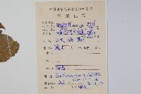 三葉五加藏品圖，第2張