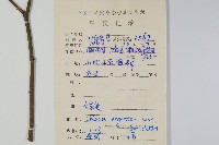 青葙藏品圖，第2張