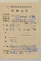 荷蓮豆藏品圖，第2張