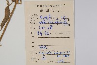 牛膝藏品圖，第2張