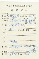 俄氏虎皮楠、蘭嶼虎皮楠、虎皮楠藏品圖，第2張