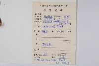 棕毛獼猴桃藏品圖，第2張