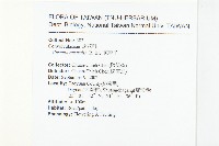 菟絲子藏品圖，第2張