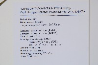 黃花鳳仙花藏品圖，第2張