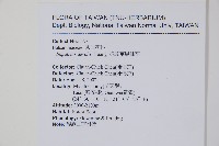 棣慕華鳳仙花藏品圖，第2張