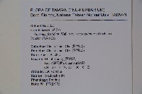 狹葉莢迷藏品圖，第2張