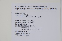 大錦蘭藏品圖，第2張