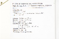 玉山筷子芥藏品圖，第2張