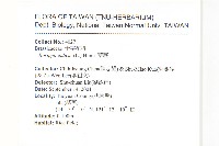 葶藶藏品圖，第2張