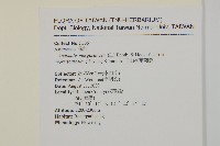 玉山抱莖籟簫藏品圖，第2張