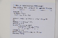 糊樗藏品圖，第2張