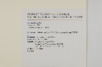 鱧腸藏品圖，第2張