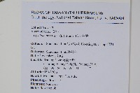 假川牛膝藏品圖，第2張