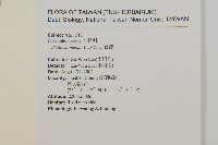 繁縷藏品圖，第2張