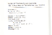 葶藶藏品圖，第2張