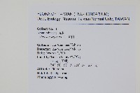 青葙藏品圖，第2張