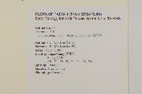 茯苓菜藏品圖，第2張