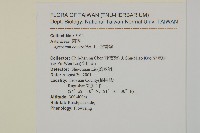 霍香薊藏品圖，第2張