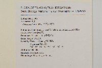 大花咸豐草藏品圖，第2張