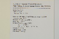 豬草藏品圖，第2張