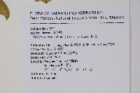 鷗蔓藏品圖，第2張