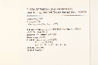 小米菊藏品圖，第2張