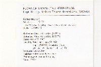 玉山筷子芥藏品圖，第2張