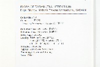 紅子佛甲草藏品圖，第2張