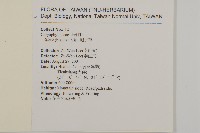 蠅子草藏品圖，第2張