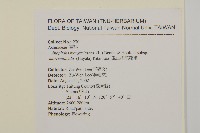 玉山抱莖籟簫藏品圖，第2張