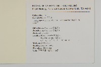 玉山卷耳藏品圖，第2張