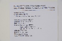 高山沙參藏品圖，第2張