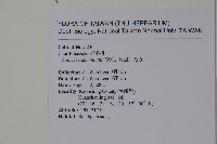 阿里山忍冬、漸尖葉忍冬藏品圖，第2張